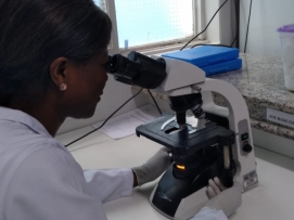 HNSC ESTÁ REALIZANDO TESTES RÁPIDOS E PCR