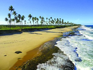 ORIENTE - UM REENCONTRO COM A NATUREZA