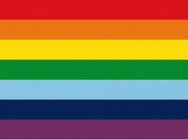 SER GAY É DOENÇA OU OPÇÃO?
