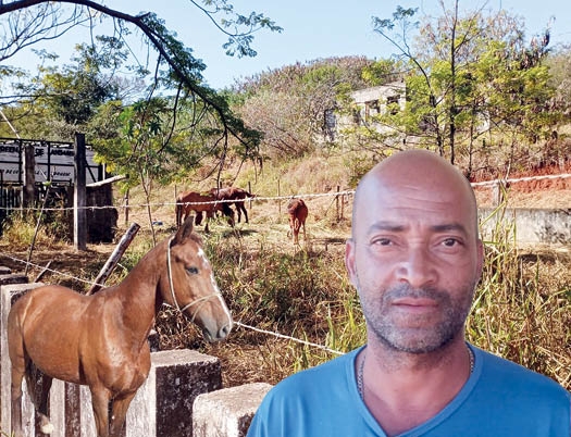 MAIS UMA VEZ, SEÇÃO GRITO POPULAR MOSTRA SUA FORÇA