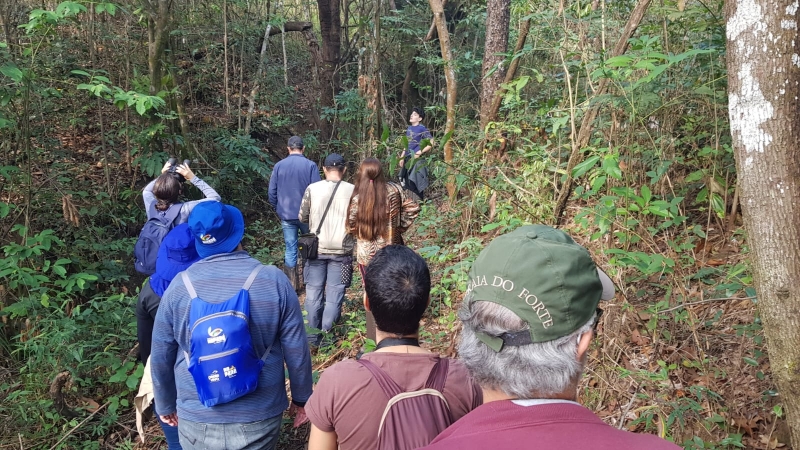 2º CURSO GRATUITO OBSERVAÇÃO DE AVES