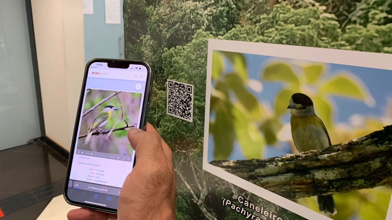 EXPOSIÇÃO DE FOTOS DE AVES NA CÂMARA MUNICIPAL